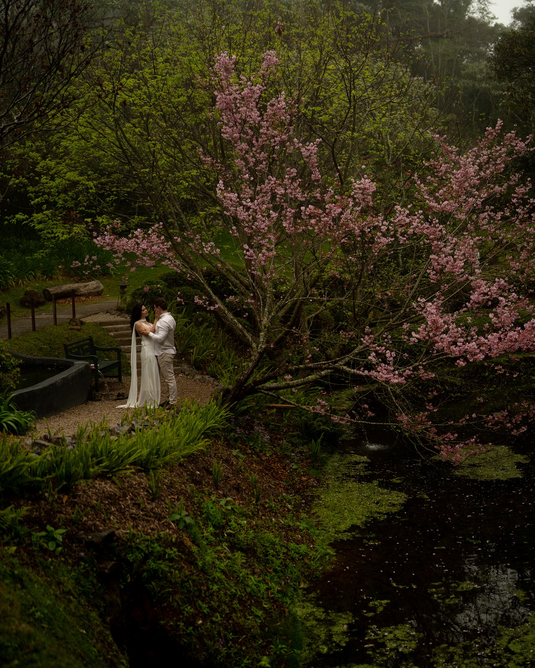 Juliane & Diego — Cerejeiras Sakura