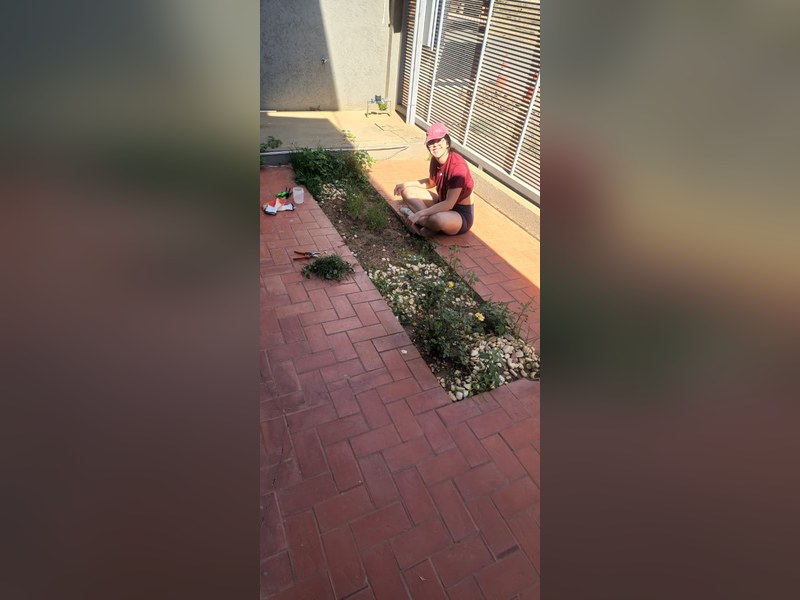 Babá para as plantas durante a lua de mel - Foto 1